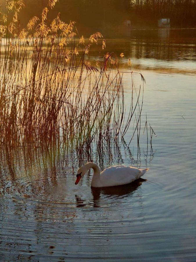 Tramonto Al Lago Gavirate Buitenkant foto